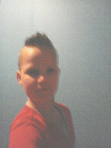 jelmerdijkman's profile picture. 