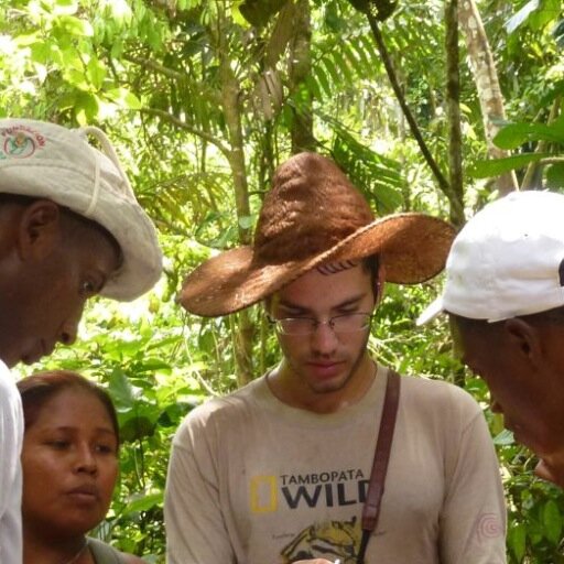 JulianMollRocek's profile picture. 