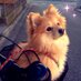 ういつん (@wui_hime) Twitter profile photo ういつん (@wui_hime) Twitter profile photo