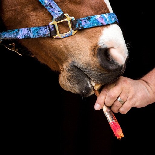Once a racehorse, bad knees ended Metro's career. Now an artist, Metro raises money and awareness for other Retired Racehorses needing homes.