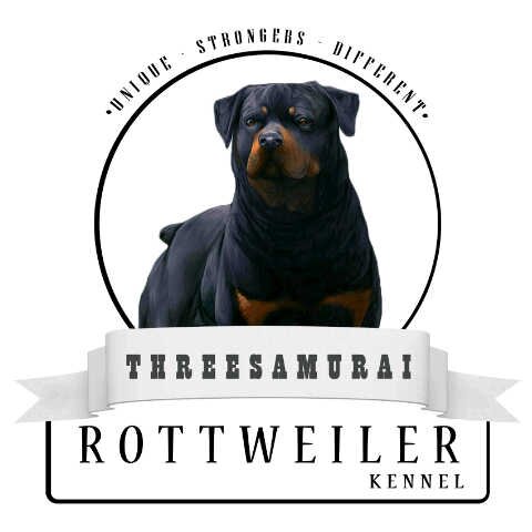 alexhalim74's profile picture. Breeder Dog Rottweiler|17 Mei 1978|Taurus|Pin bb 28E4352F/7C9EAC52