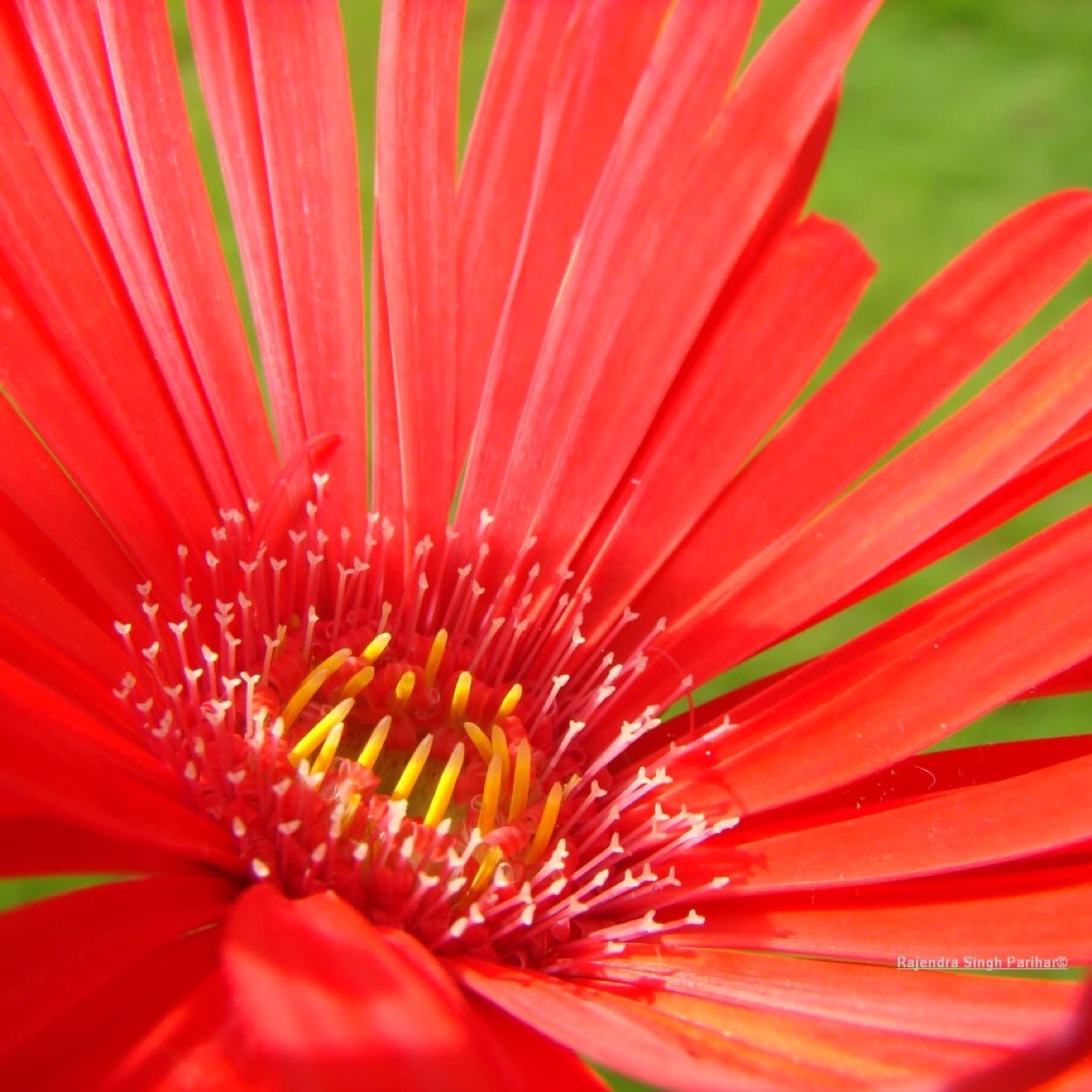 valeriecoller's profile picture. 