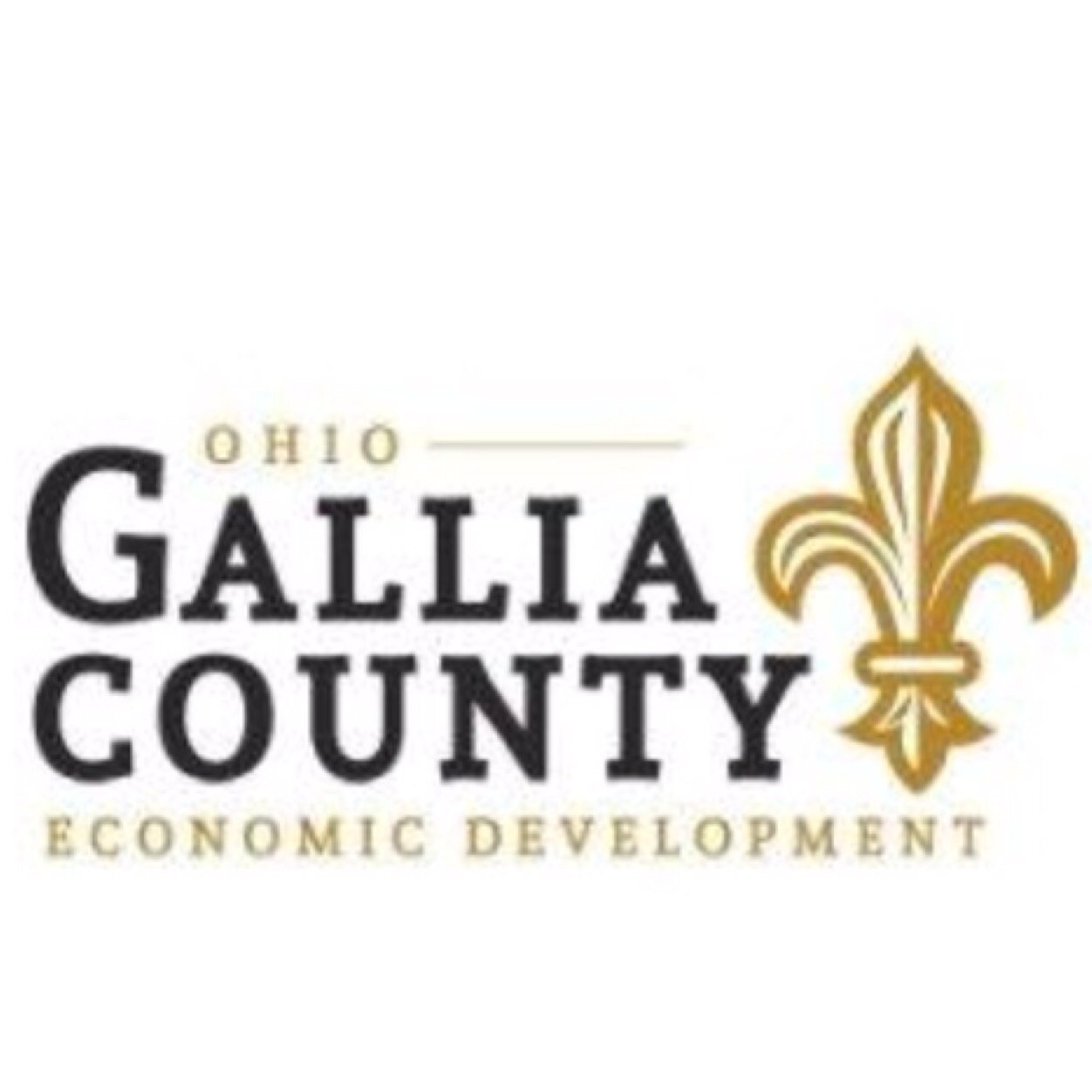 Gallia County Economic Development. Growing #business and #jobs in #Gallia County, OH. Check out our community here  https://t.co/08YfAszkW5
