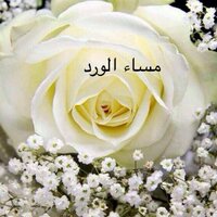 um_alhalween (@tomy_2314) Twitter profile photo