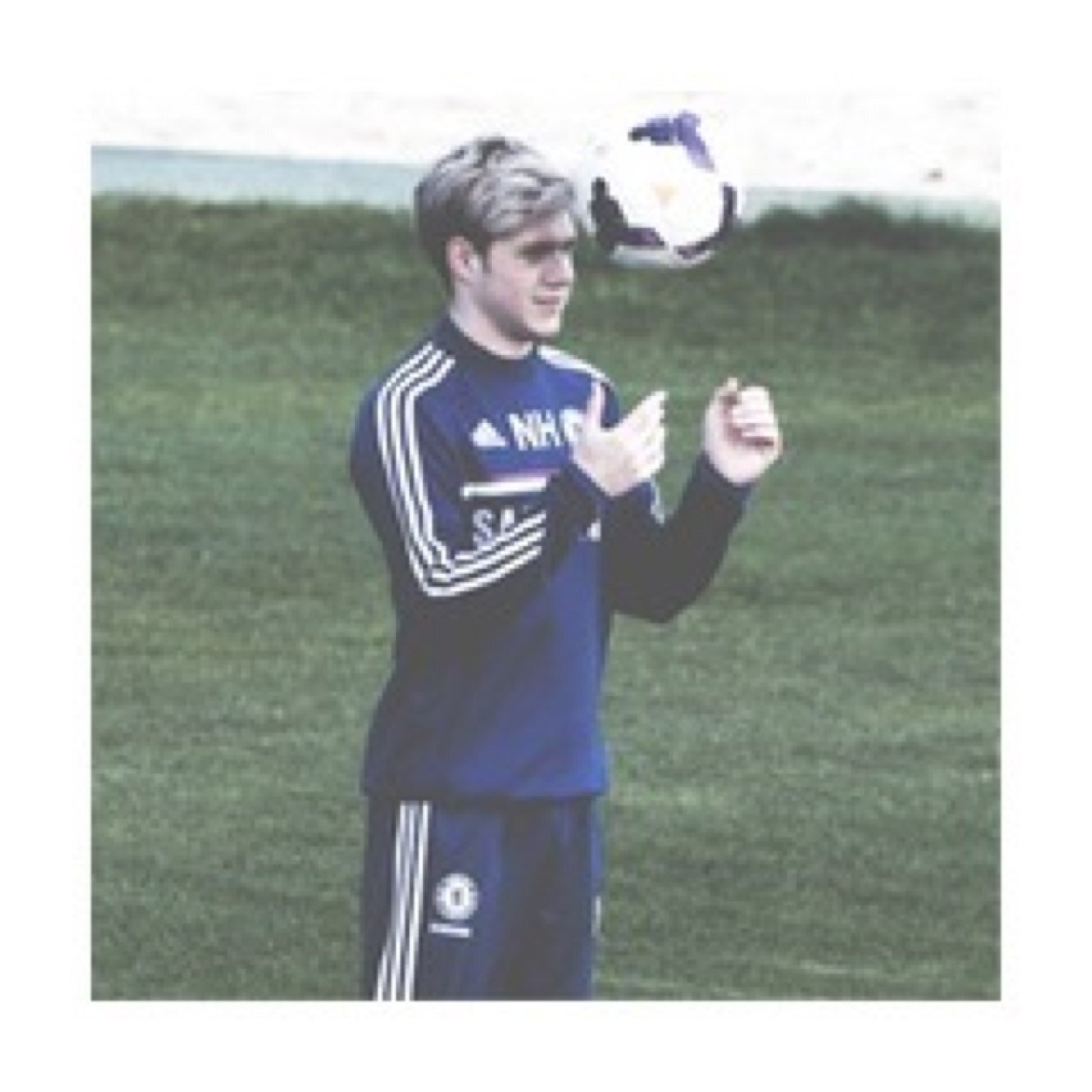 follow @sanandreasniall bc i gave u this follow