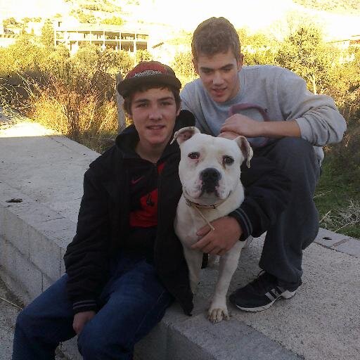 Desde el 96, Chico no muy alto, pelo castaño,ojos marrones ,rapero y ademas me encantan las bmx. padul granada. ask.fm cecilio291196 Amante del techno