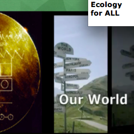 Jedamann's profile picture. Greater World for All to Share

Interests: Writing, reading, engaging in  progressive political outcomes.  Sharing dumplings, soup & hot expresso coffee