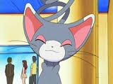 (Glameow, Level 24, A very regal feline who is a loyal partner, she's calm and caring. Moves: Shadow claw, quick attack, Bite, focus punch)