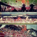 Wilmer Moro - @wilmer17david - Twitter