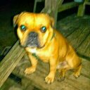 Robert Wiggin - @wiggin378 - Twitter