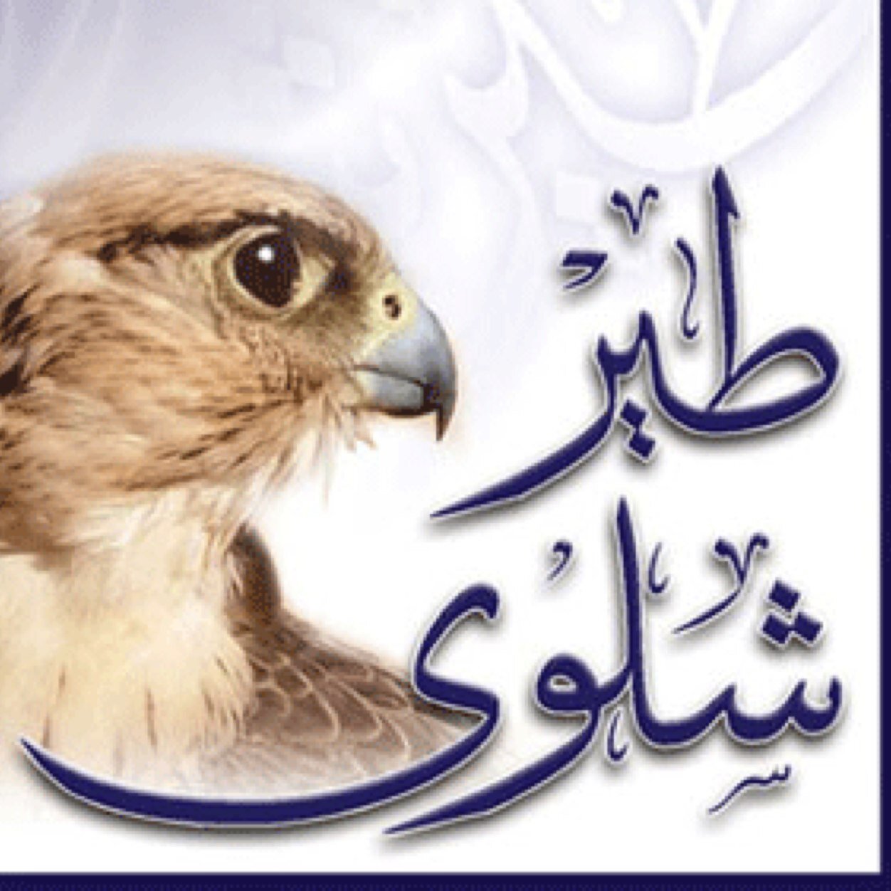 ( محب ٠الشعر ). ٠٠واتشرف بمتابعتكم واعطي رتويت الابيات الجزله٠٠
٠٠٠ مفضلتي٠٠٠