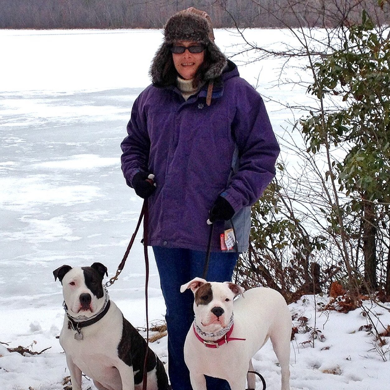 J9mwrx's profile picture. Love my family and my pets.  Like AutoX & snowboarding. Hate BSL.