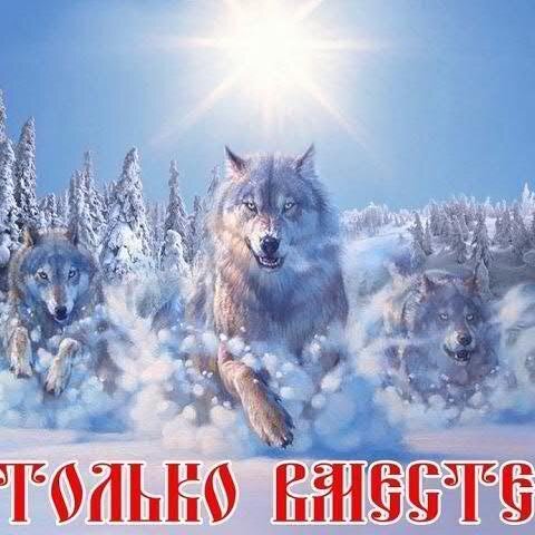 55_bashtannik's profile picture. 