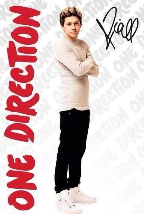 danaisjimenez inspirada en ser cantante y ser como one direction mis idolos