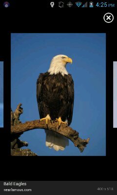 a beautiful country!       freedom is everything!