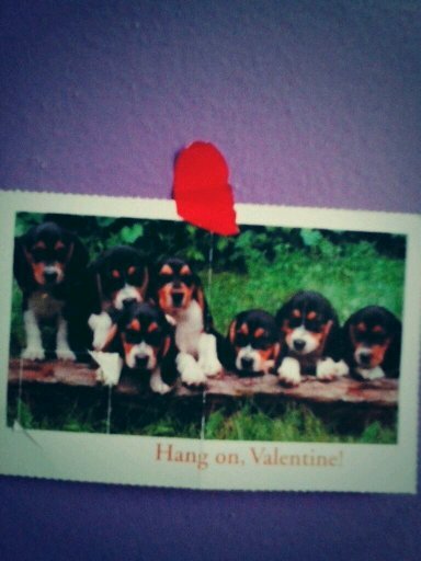 mimi_alic's profile picture. 