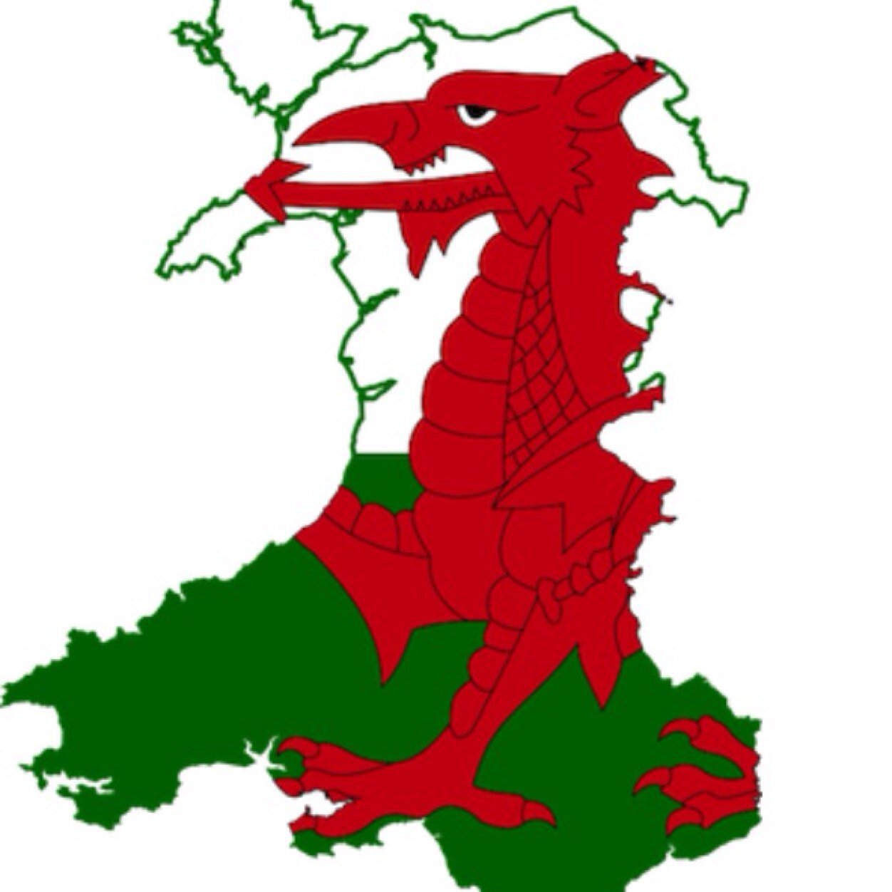 BOLHS_Cymraeg Profile Picture