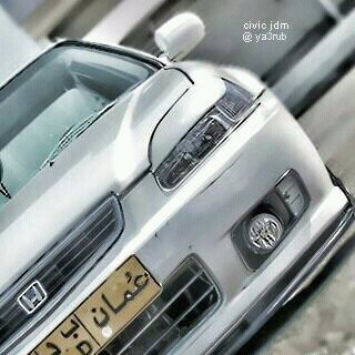 صور العفيه