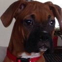 Shari Dixon - @shari_dixon - Twitter