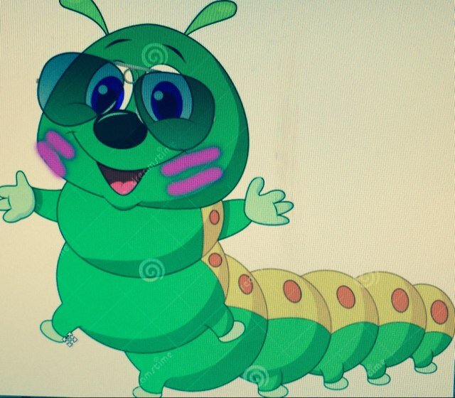 snugasabug14's profile picture. 