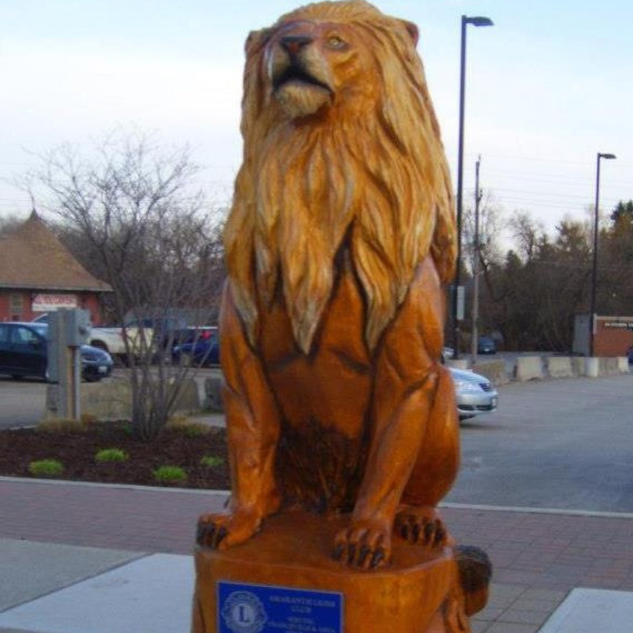 Local group of like minded Women and Men near Orangeville Ontario, following the Lions Motto WE SERVE
