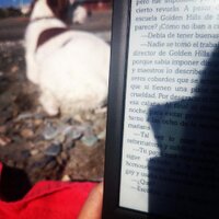 LaOrillaDeLosLibros (@laorilladlibros) 's Twitter Profile