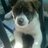 rafa_estafa21's profile image