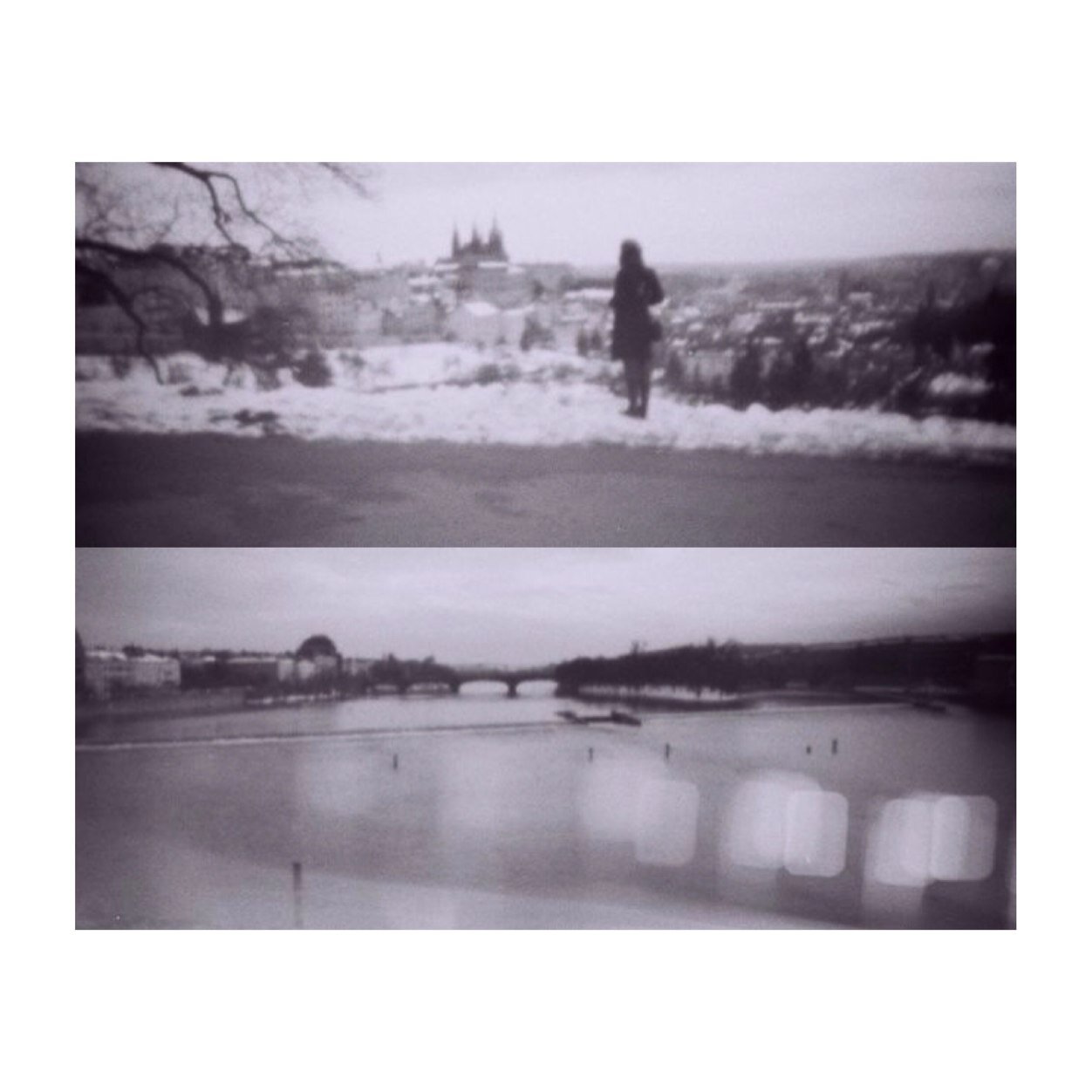 quiet_sincerity's profile picture. eyes like wildflowers