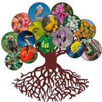 Máster BIODIVERSOS (@msterbiourjc) 's Twitter Profile