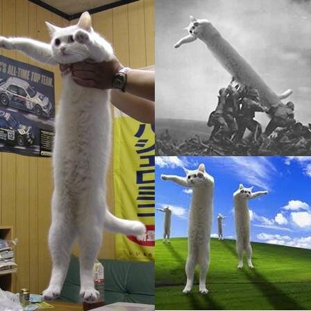 ヽ༼ຈل͜ຈ༽ﾉ