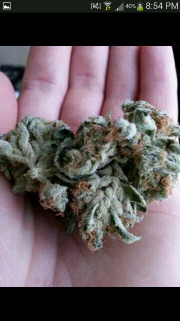 #teamgethigh