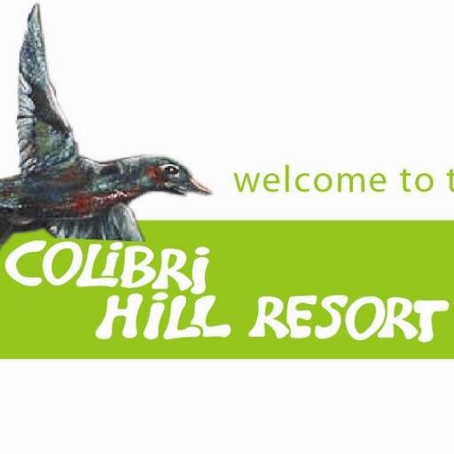 ColibriUtila's profile picture. 