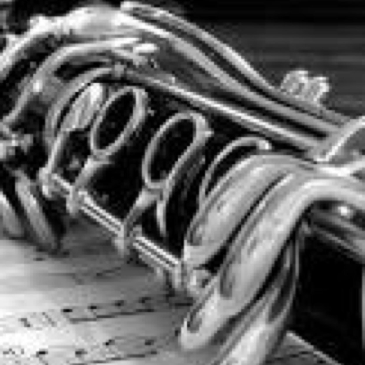 woodwind player. name a woodwind instrument, i probably play it. class of 2016. future drum major.
