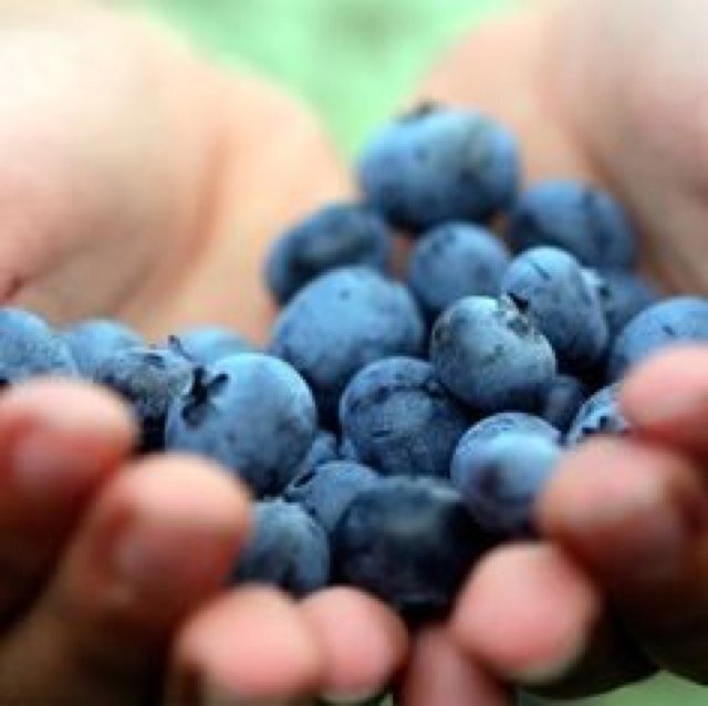 cook_read's profile picture. 