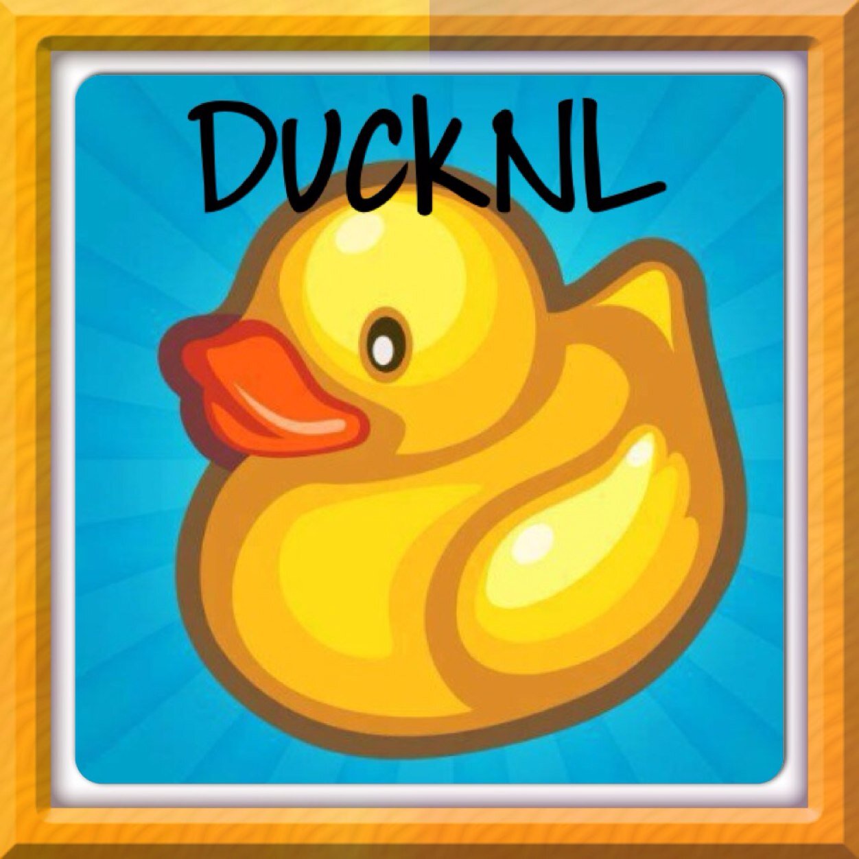 Dit is een nieuwe clan op de xbox360 !
DuckNL ! Als je bij de clan wil stuur dan een bericht naar dit account ' er komen ook youtube filmpjes'