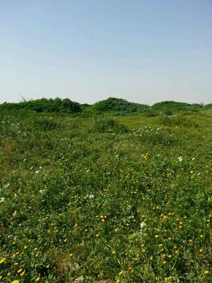 mmmdddsss123's profile picture. استفيد من تجارب الآخرين واقبل النقد بل ارتقي به