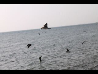 @5aled__otaibi
