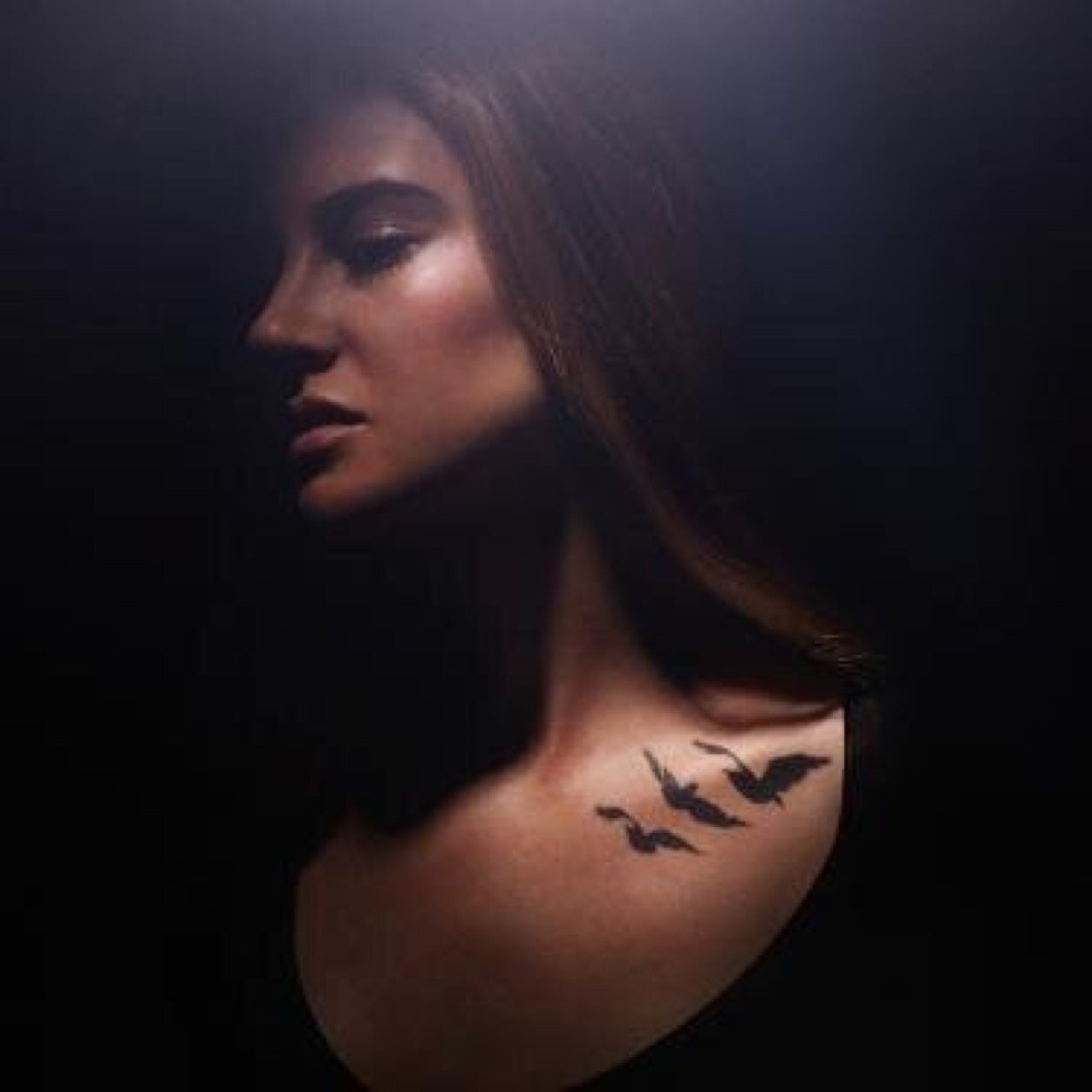 I feel like someone breathed new air into my lungs. 
I am not Abnegation. 
I am not Dauntless. 
I am Divergent. 
[#Divergent RP.]