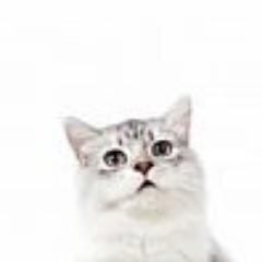 LislRG's profile picture. 