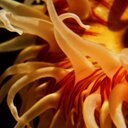 Randy Matter - @randy_matter - Twitter