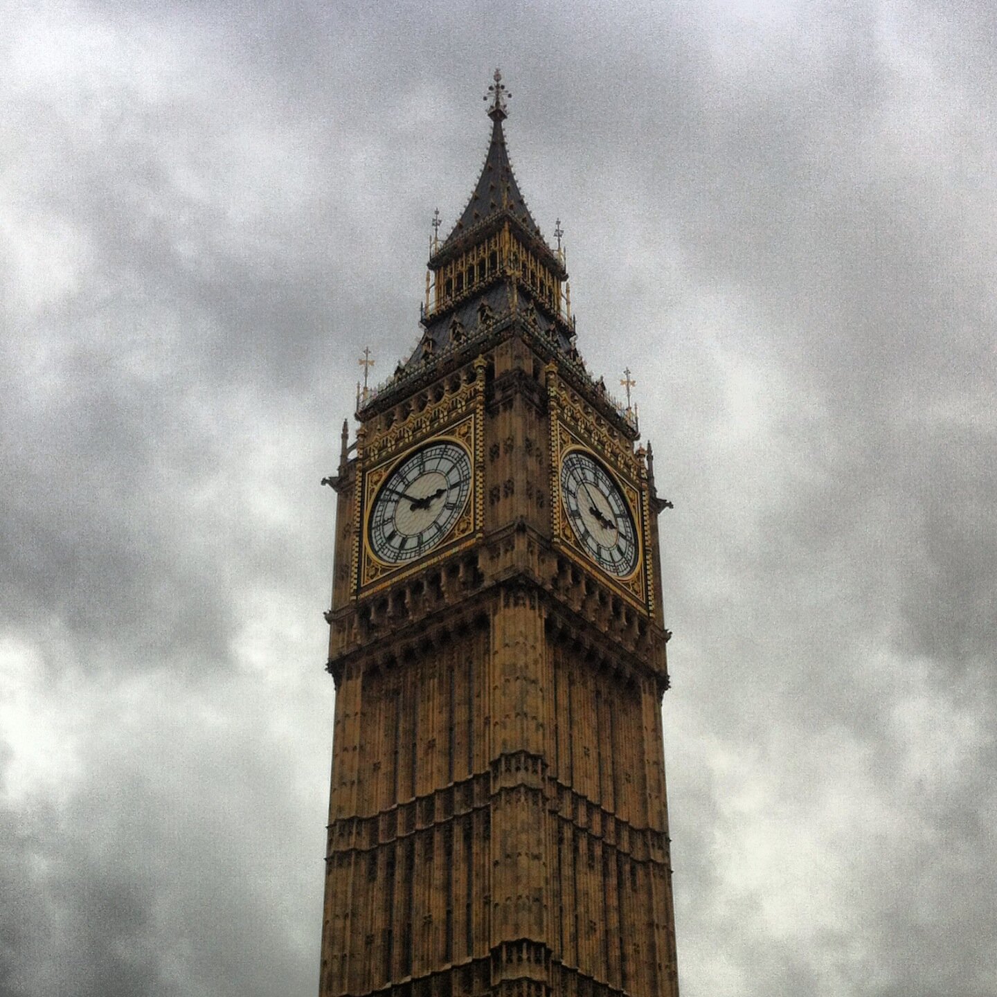 IntlSpiderWeb's profile picture. Connecting People