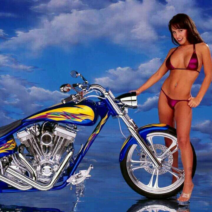 bobophin's profile picture. 