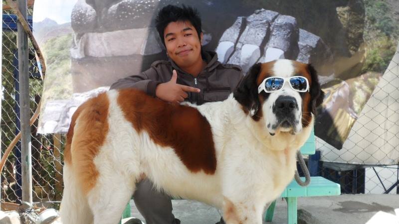 arch_papapaul17's profile picture. 