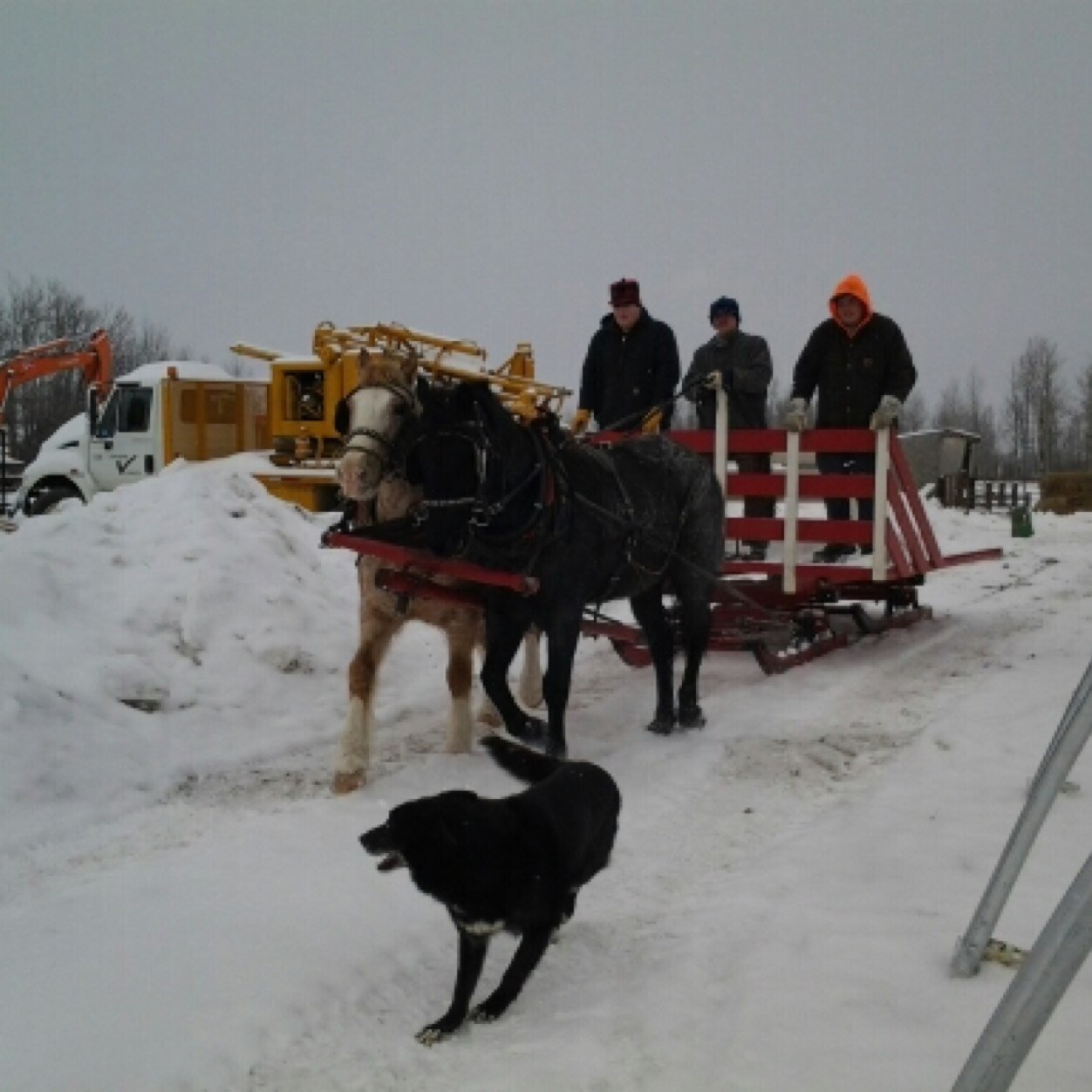 driedger_benny's profile picture. 