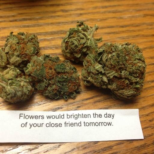 professional pothead
