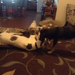 ladylovescoffee's profile picture. Let's practice prayer we are all humanity no exceptions so we walk by faith not by sight we will never know peace untill.  we know our brother.as long as he