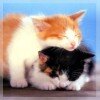 “— Вы улыбаетесь, и вы так спокойны? Почему вы не кричите? — Я кричу, только вы не слышите.”