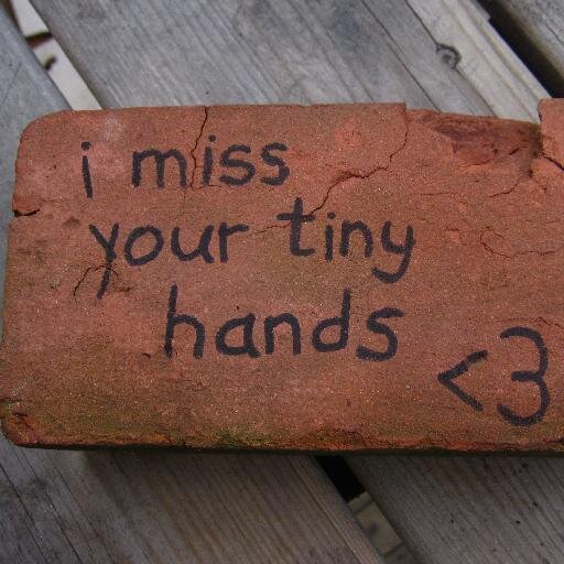 I'm the Clemson brick