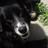 JOapostropheB's profile image