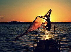 fairy_fluff's profile picture. 